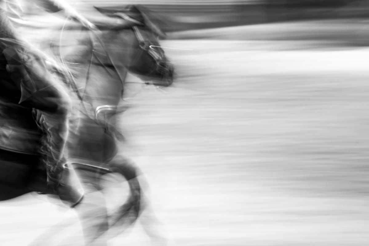 Expressive Animal Photograph By Lionel Le Jeune, 30 X 20", Cheval Au Galop, Original Artwork