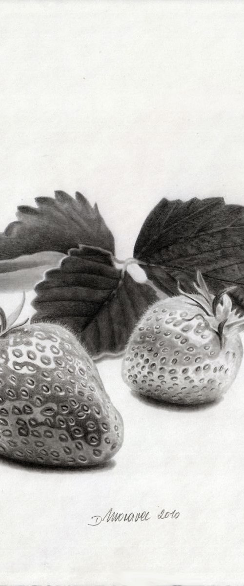Strawberries by Dietrich Moravec