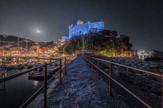 THE CASTLE AND THE MOON