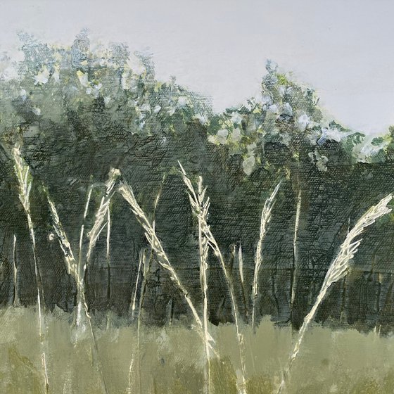 Purple Clover Meadow