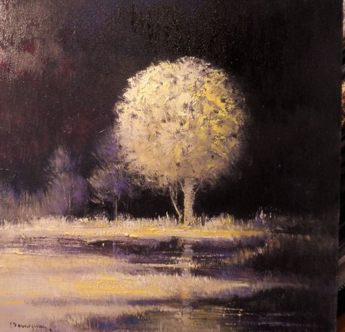 Night Tree;;;;;; by David Jang