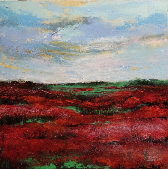 Field of poppies