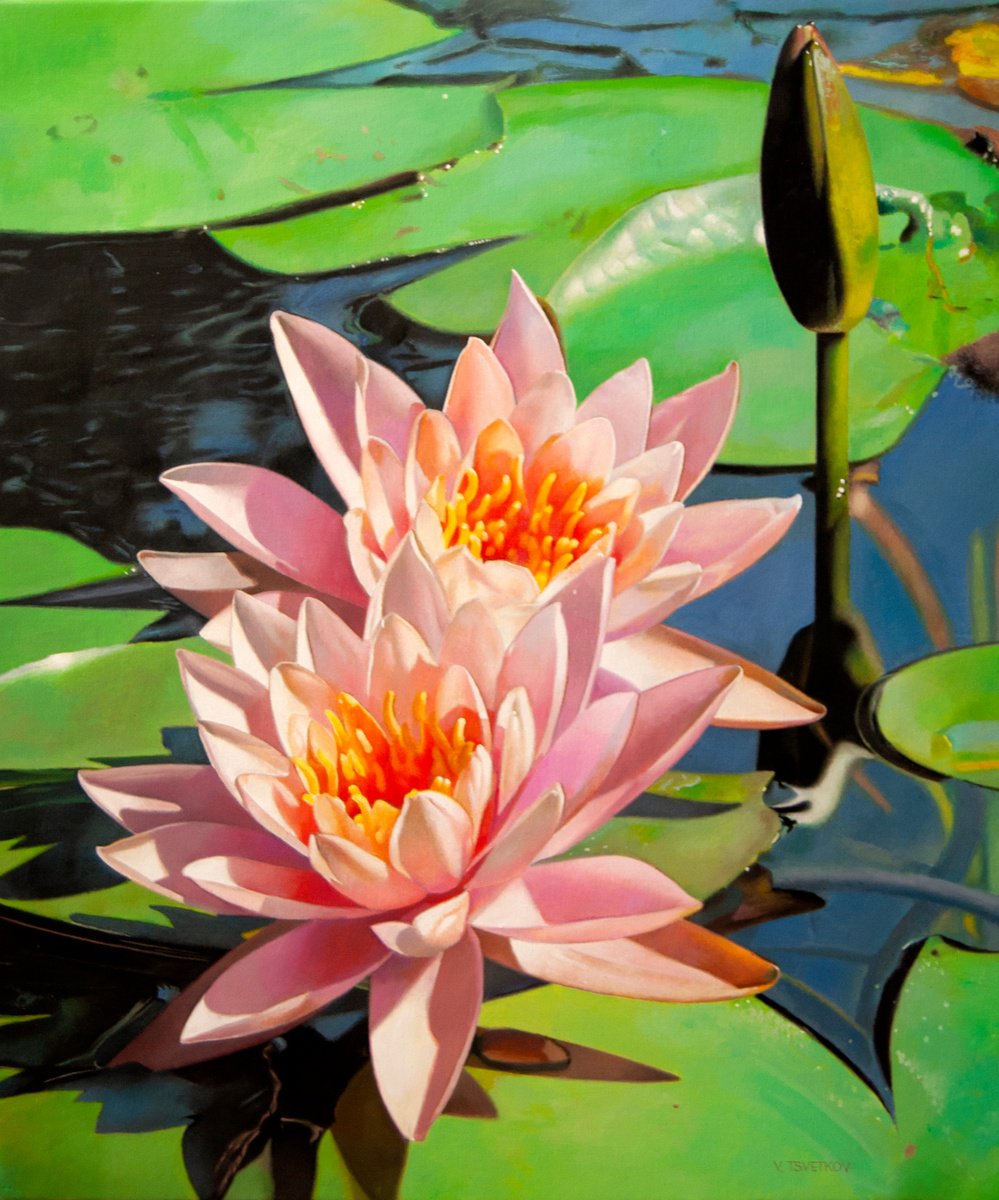 Water lillies by Valeri Tsvetkov