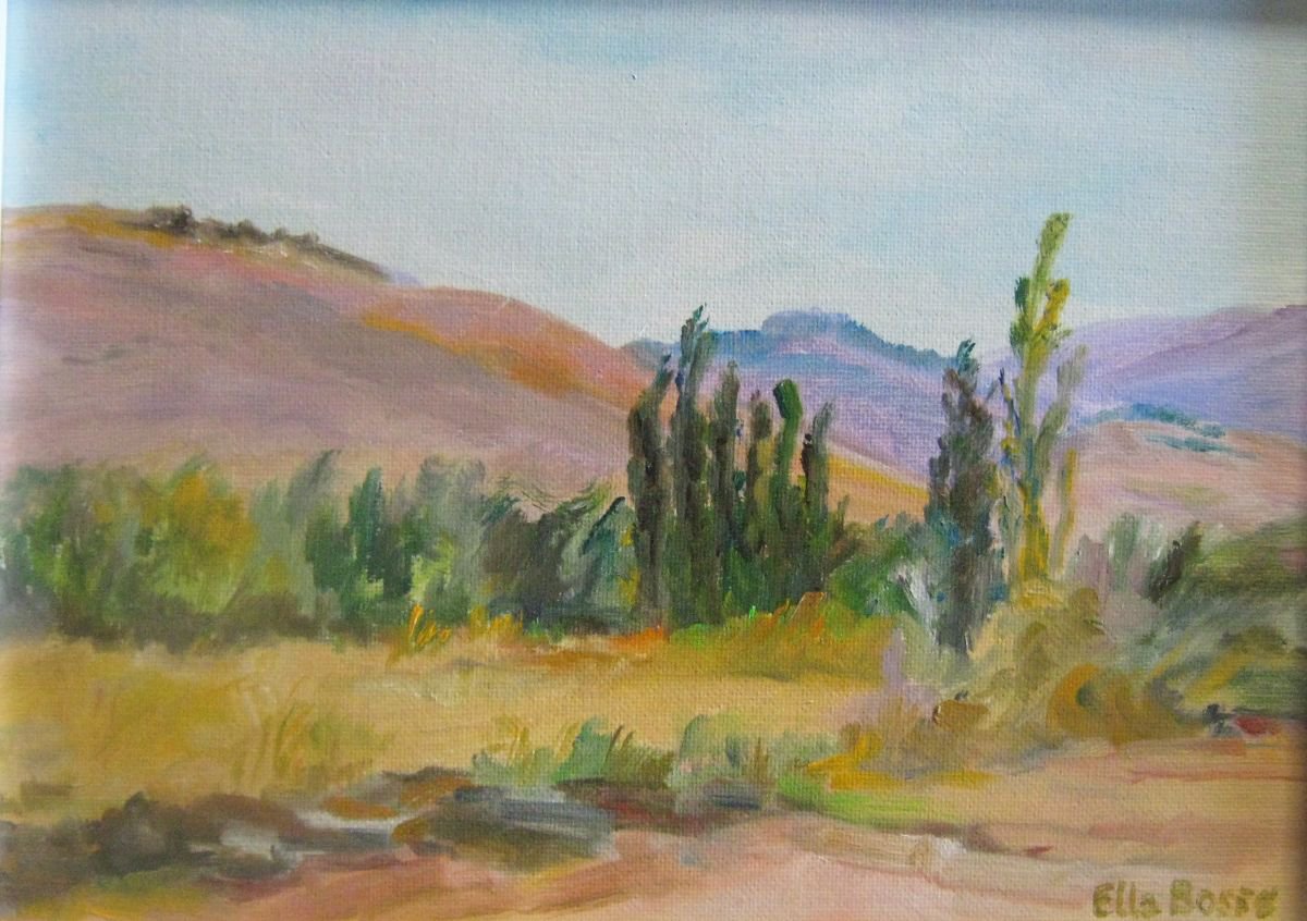 The Nevada desert by Ella Bosse