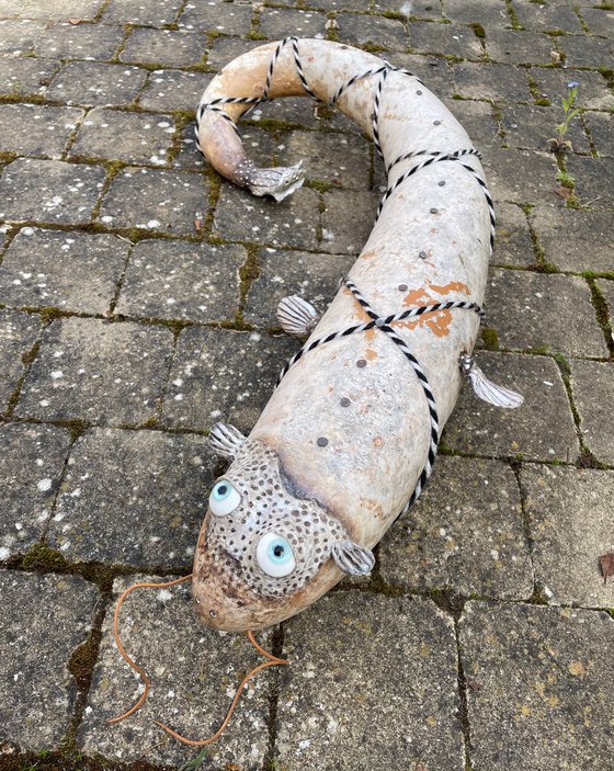 THE CATFISH OF GALATEA