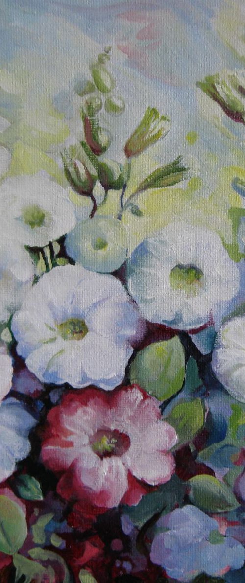 Petunias by Elena Oleniuc