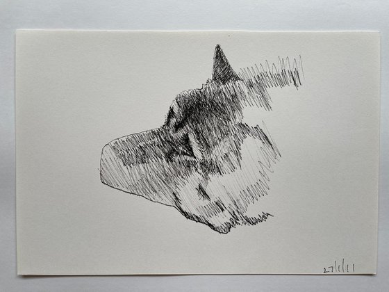 Shadow 3