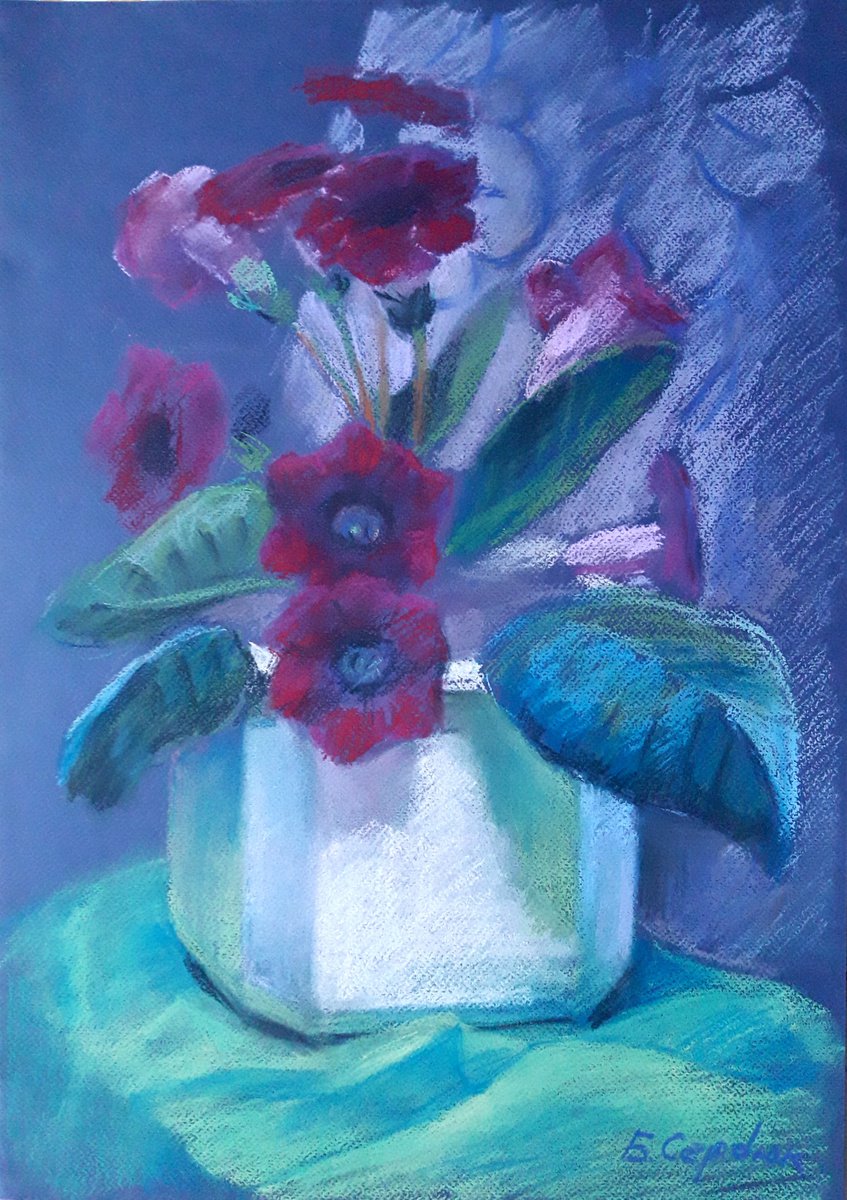 Gloxinia in a pot by Boris Serdyuk