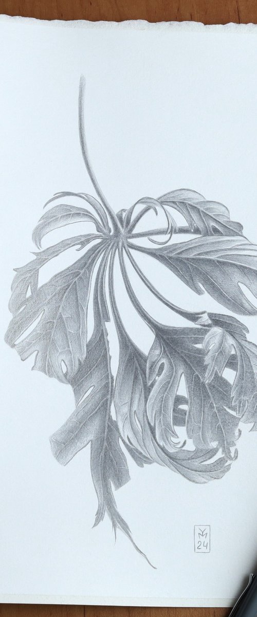 Maple Leaf Silverpoint by Yuliia Moiseieva