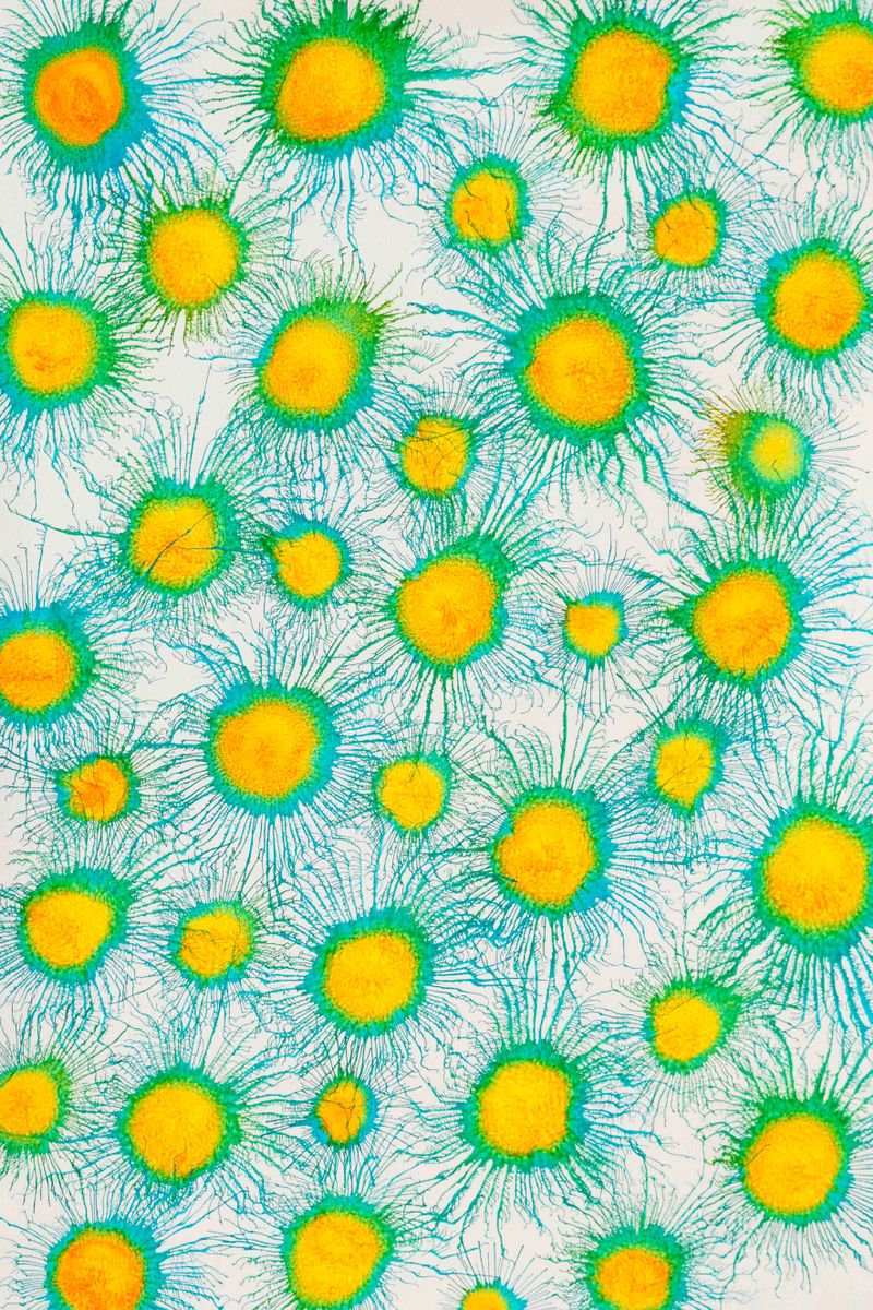 Abstract Acrylic Painting By Sumit Mehndiratta, 33 X 47", Neoflora Series No. 07, Original Artwork