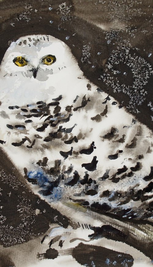 The Polar Owl by Elena Sanina