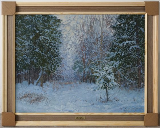 Winter forest