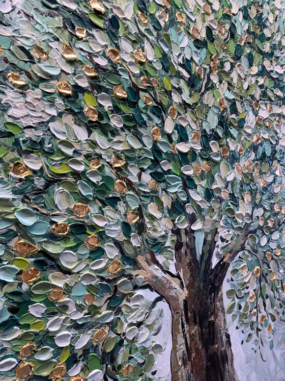 Olive Tree