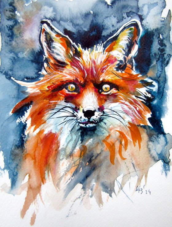 Red fox portrait