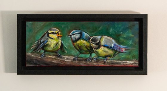 Feathered Family (2024)