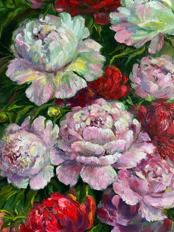Peony Reverie