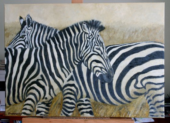 Zebras