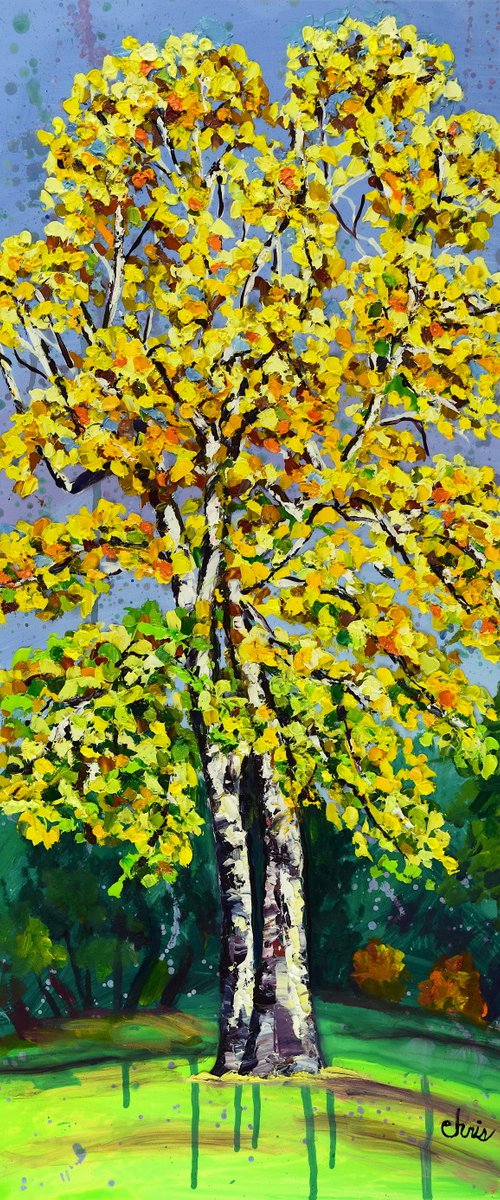 Birch Heights by Christina M Plichta
