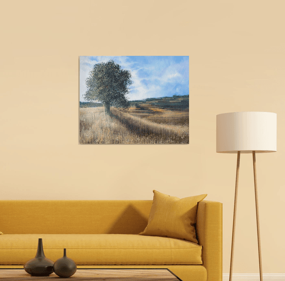 Meadow In Late Summer