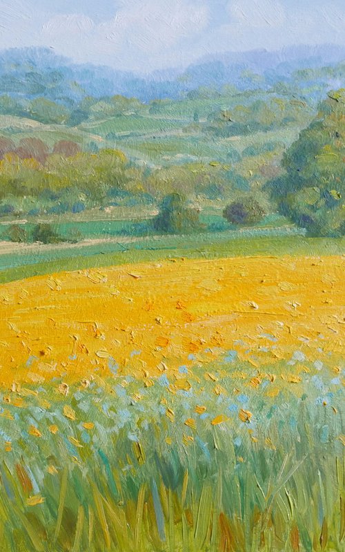 Rapeseed field in Tuscany by Claudio Ciardi