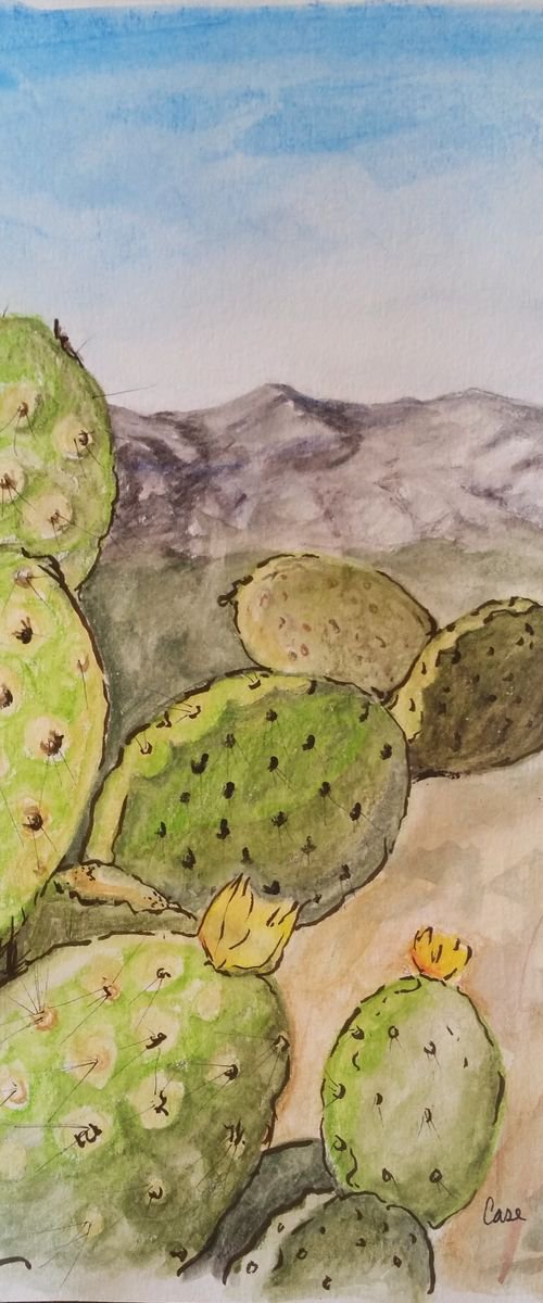 Landscape - Desert Flower by Katrina Case