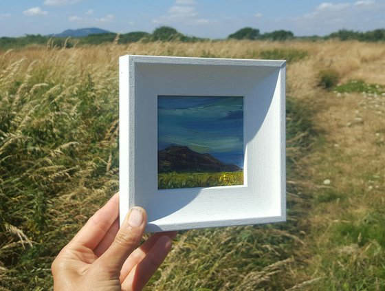 The Summer Fields of Bray Head, Wicklow, Ireland - a Mini Irish Landscape