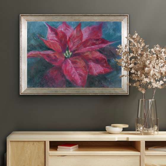 Red poinsettia flower