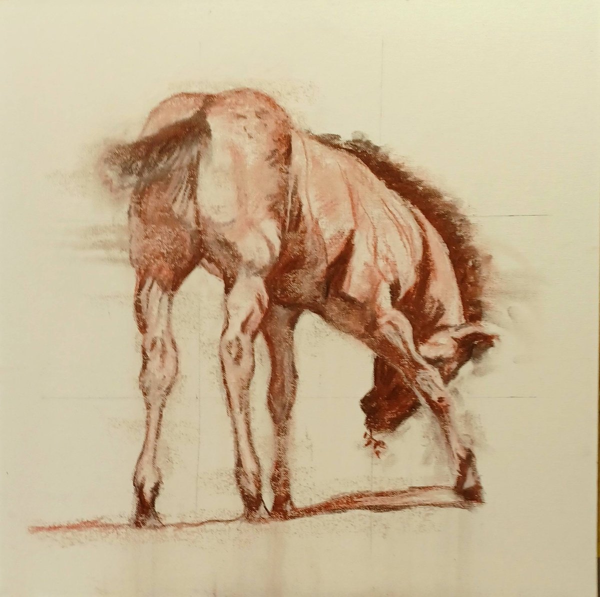 Expressive Pastel Drawing , A Good Colt By Jo Van Kampen, 26 X 26, Artwork For Sale On Artfinder