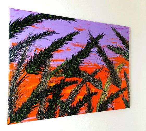 Grass In Purple Color