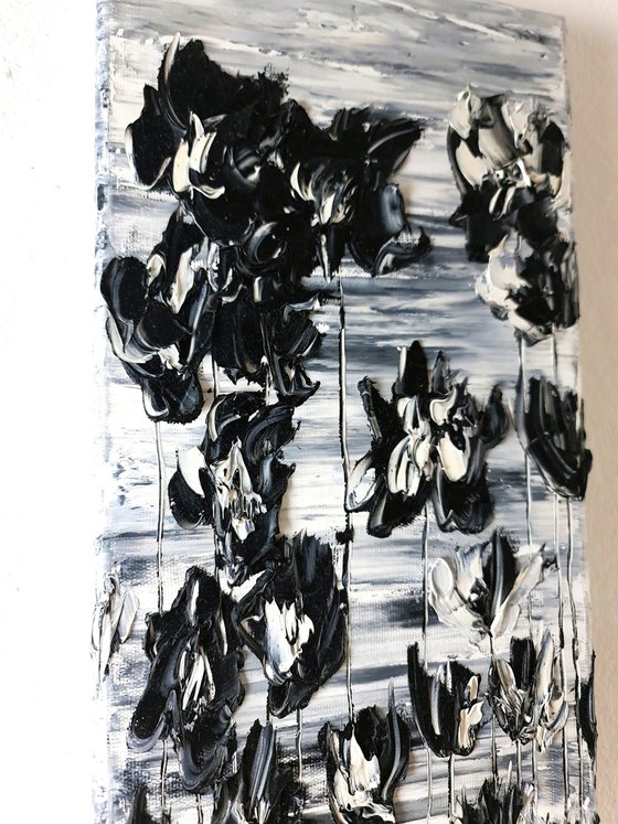 Black Poppies