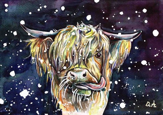 Highland Moo Cow