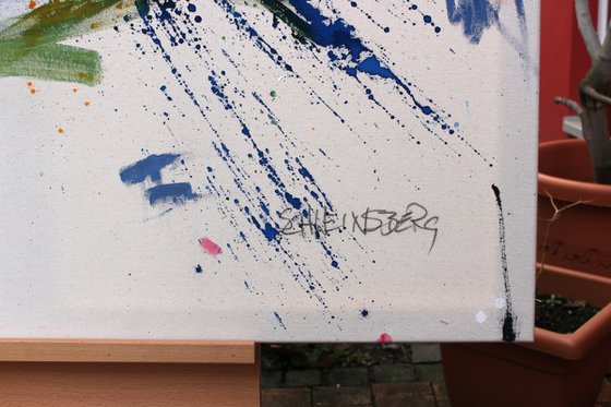 WATCHING THE NIGHT SKY