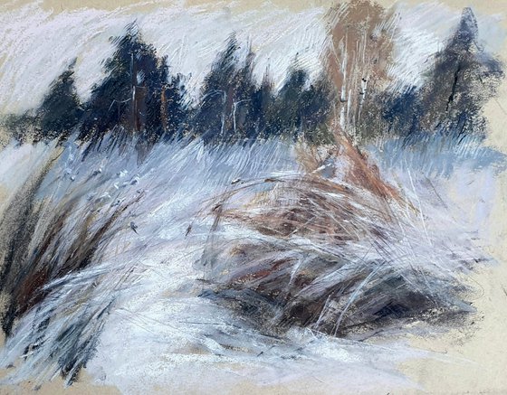 Snow and Grasses