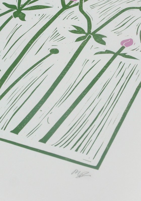 Japanese Anemone