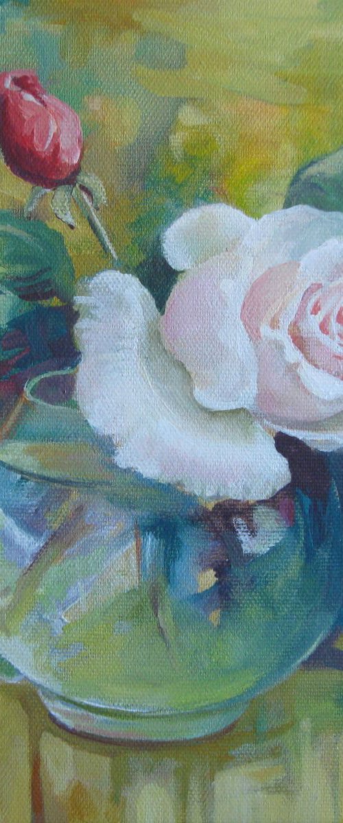 White rose by Elena Oleniuc