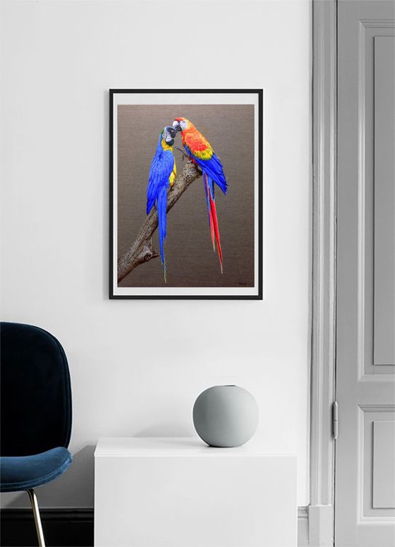 "Loving Macaws".