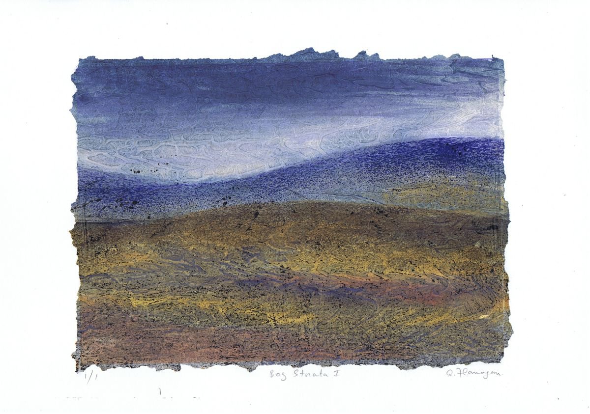 Bog Strata 1 by Aidan Flanagan Irish Landscapes