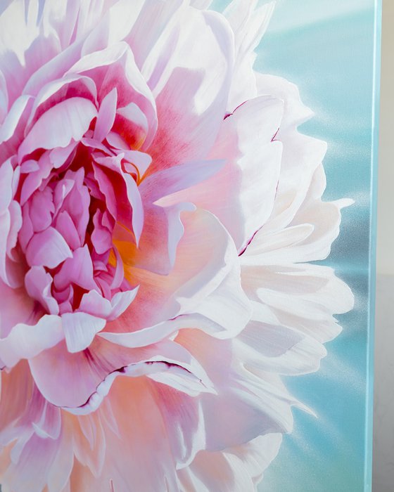 Spring peony