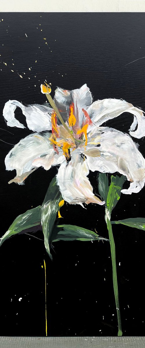 Lily flowers by Rosi Roys