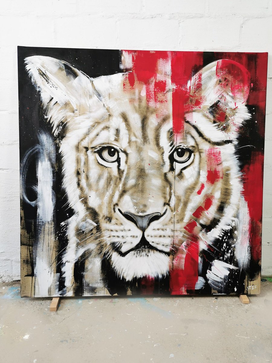 Expressive Animal Acrylic Painting By Stefanie Rogge, 39 X 39", Big Cat - Lioness #11, Original Artwork