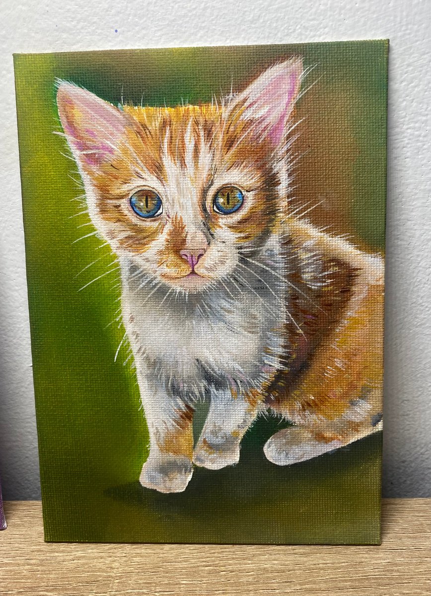 Ginger kitten oil painting by Bethany Taylor