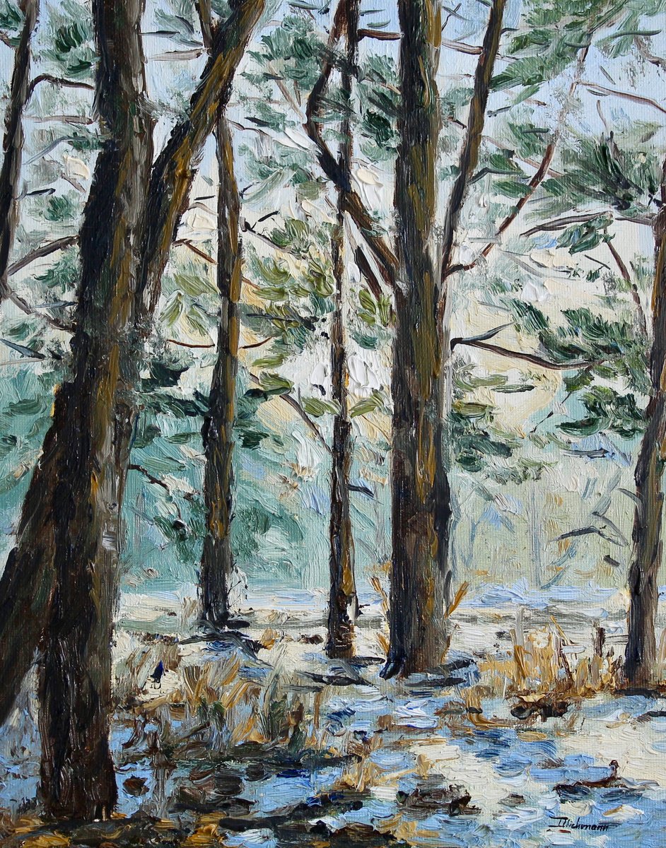 Sunlight Through The Pines By Liza Illichmann, 9 X 12, Artwork For Sale On Artfinder