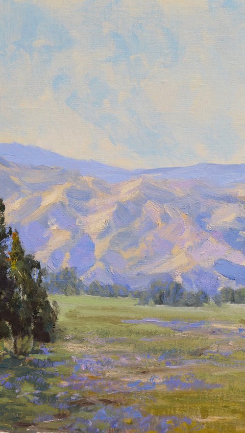 Valley View With Mountains by Tatyana Fogarty