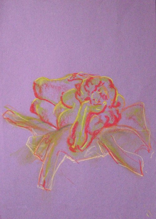 A Rose Unfolds by Kathryn Sassall