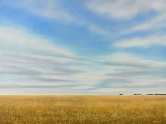 Glowing Golden Wheat - Blue Sky Landscape