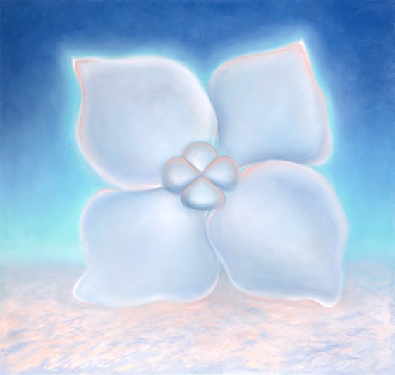 Hydrangea (Flowers)