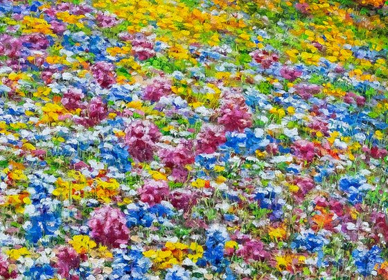 A Field of Flowers.