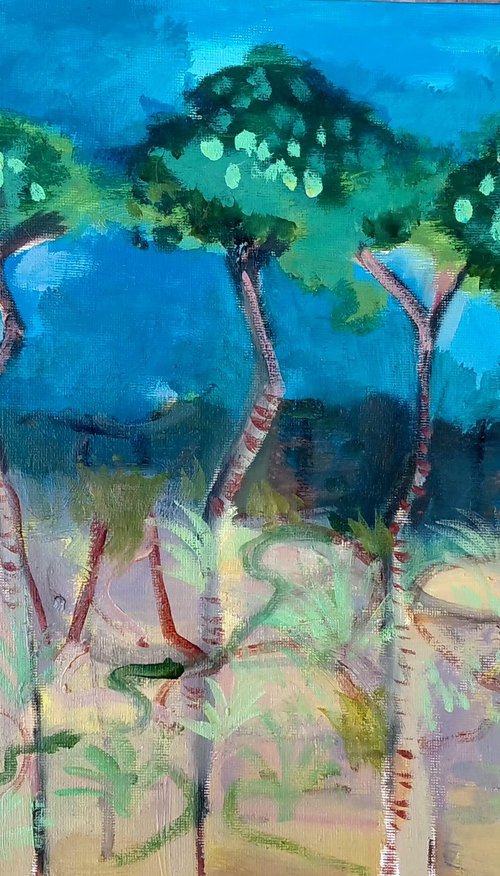 Trees in lidl carpark by kelly norman