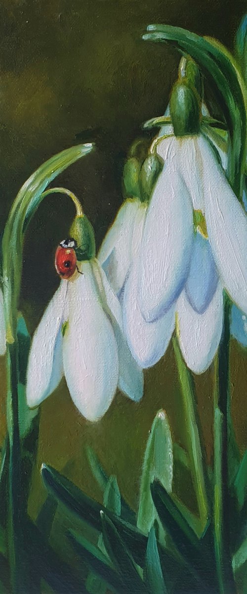 "Guest."  flower snowdrops ladybug  liGHt original painting  GIFT (2020) by Anna Bessonova (Kotelnik)