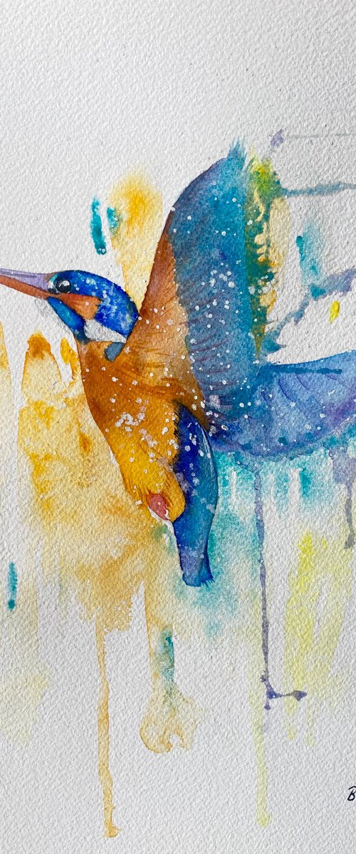 Colourful kingfisher watercolour painting by Bethany Taylor